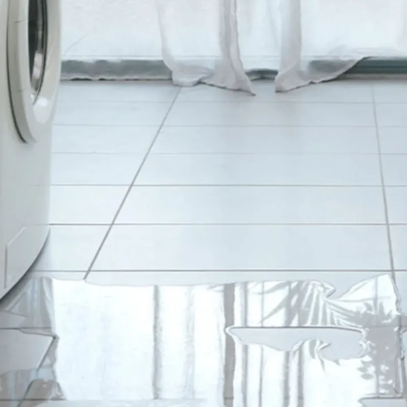 Appliance Leak Cleanup in Elkhart, KS