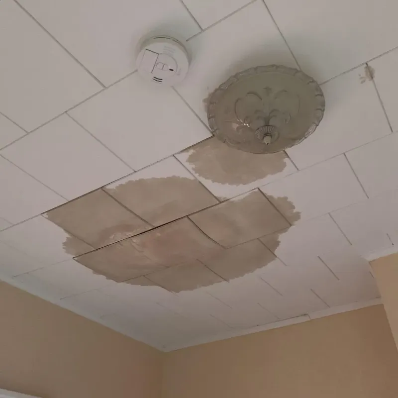 Ceiling Water Damage Repair in Elkhart, KS