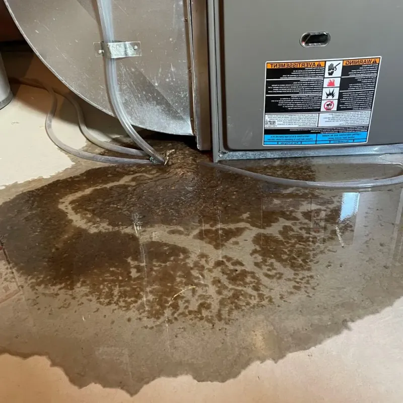 Pipe Burst and Leak Restoration in Elkhart, KS
