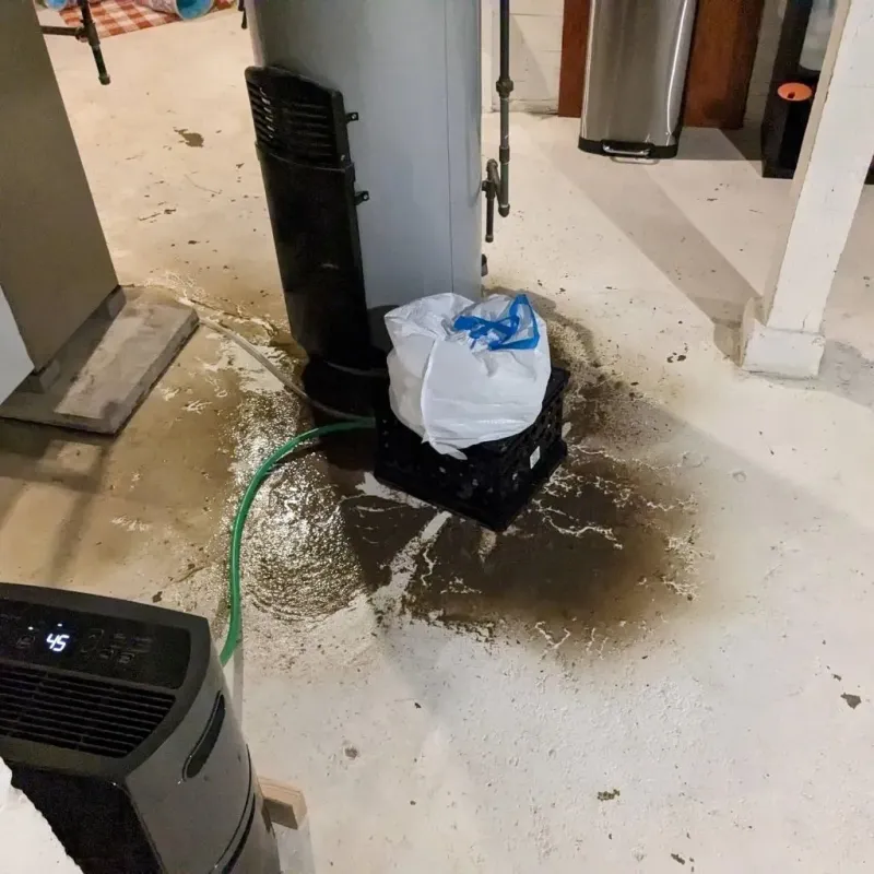 Sewage Backup Cleanup Service in Elkhart, KS